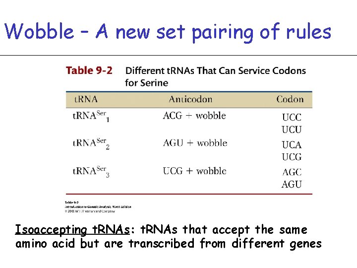 Wobble – A new set pairing of rules Isoaccepting t. RNAs: t. RNAs that