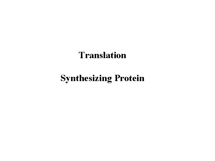 Translation Synthesizing Protein 