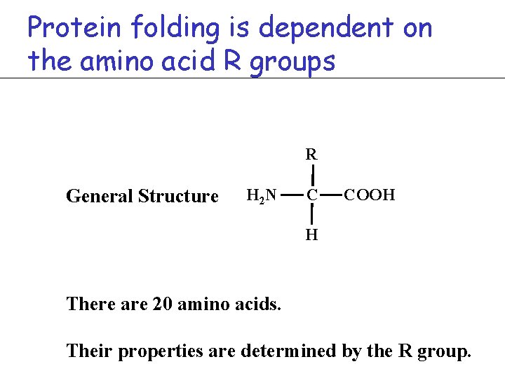 Protein folding is dependent on the amino acid R groups R General Structure H
