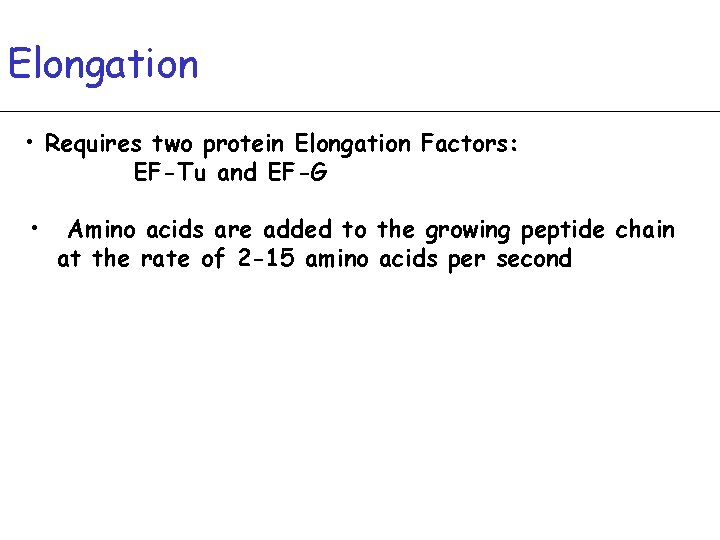 Elongation • Requires two protein Elongation Factors: EF-Tu and EF-G • Amino acids are