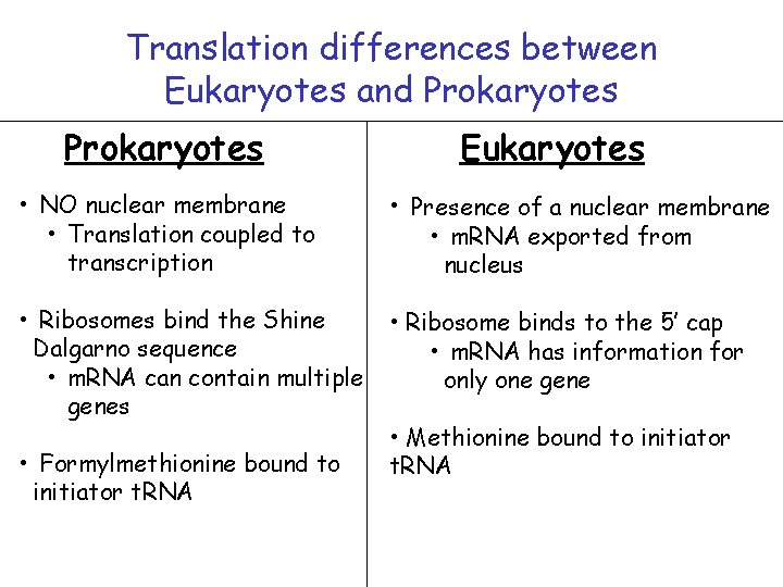 Translation differences between Eukaryotes and Prokaryotes Eukaryotes • NO nuclear membrane • Translation coupled