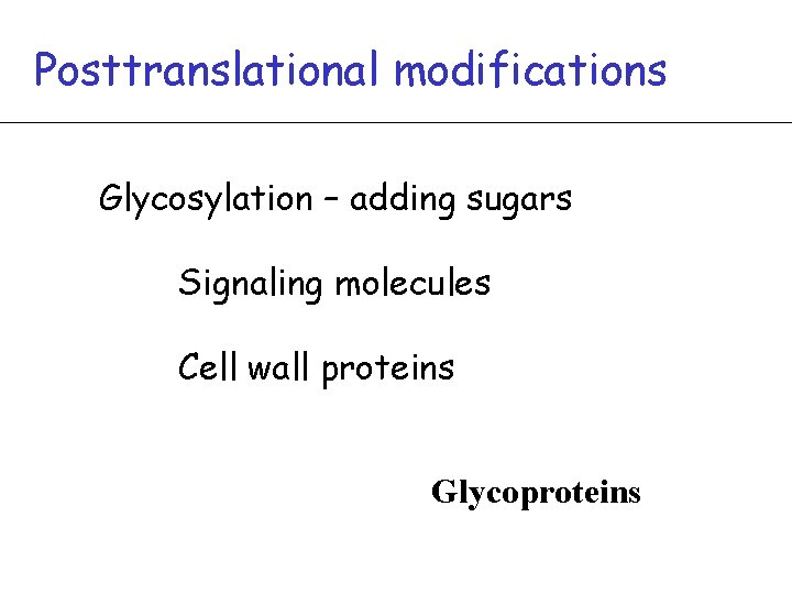 Posttranslational modifications Glycosylation – adding sugars Signaling molecules Cell wall proteins Glycoproteins 