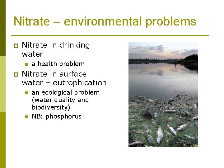 Nitrate – environmental problems p Nitrate in drinking water n p a health problem