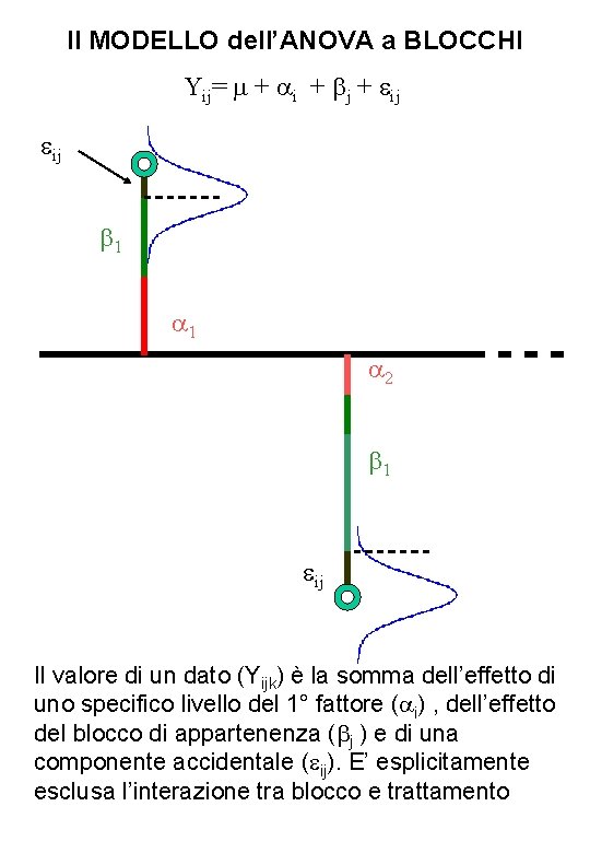 Il MODELLO dell’ANOVA a BLOCCHI Yij= + i + j + ij ij 1