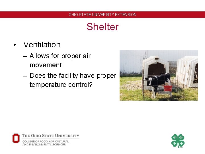 OHIO STATE UNIVERSITY EXTENSION Shelter • Ventilation – Allows for proper air movement –