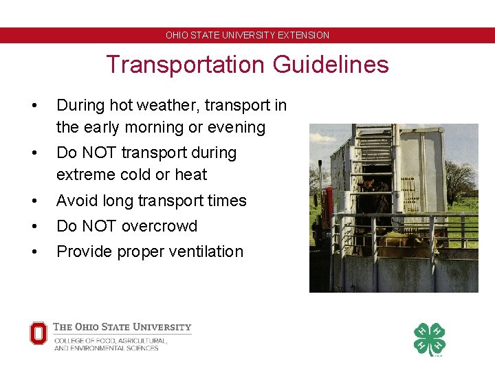 OHIO STATE UNIVERSITY EXTENSION Transportation Guidelines • During hot weather, transport in the early