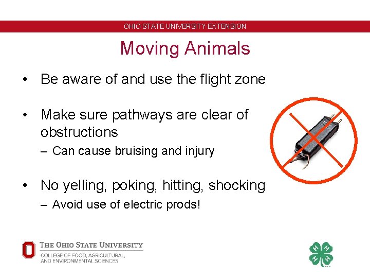 OHIO STATE UNIVERSITY EXTENSION Moving Animals • Be aware of and use the flight