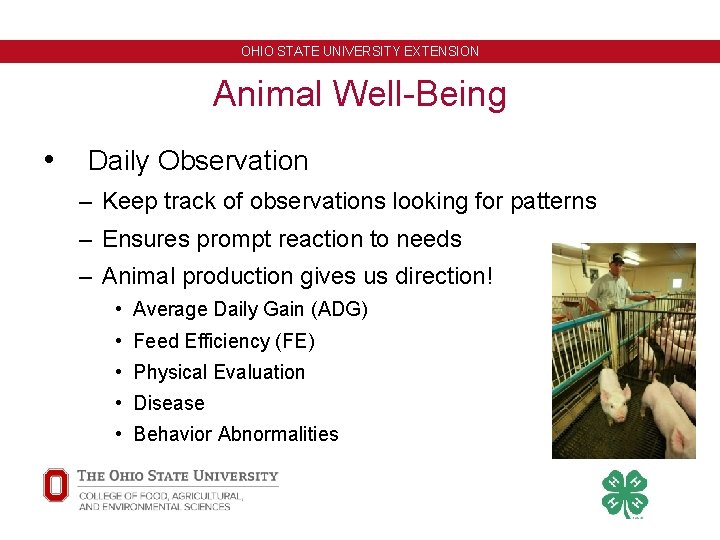 OHIO STATE UNIVERSITY EXTENSION Animal Well-Being • Daily Observation – Keep track of observations