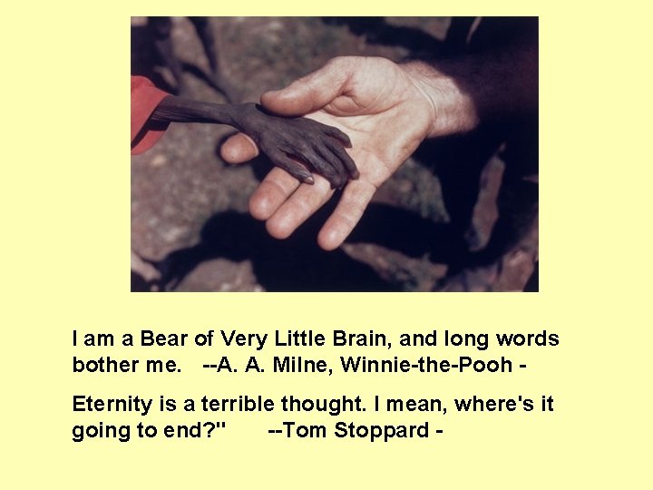 I am a Bear of Very Little Brain, and long words bother me. --A.