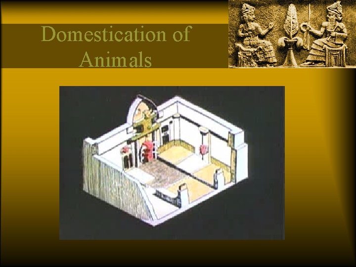 Domestication of Animals 