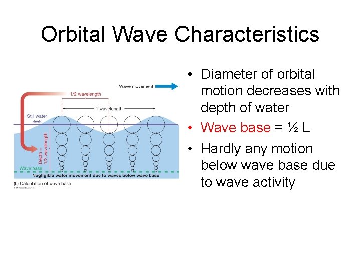 Orbital Wave Characteristics • Diameter of orbital motion decreases with depth of water •