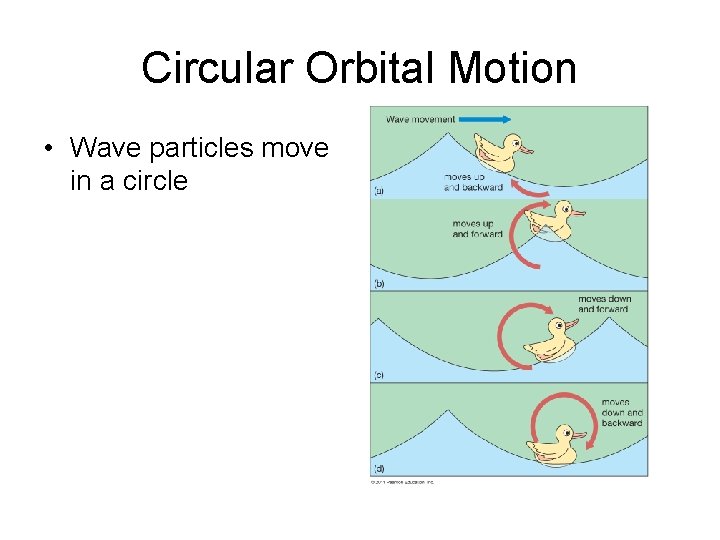 Circular Orbital Motion • Wave particles move in a circle 