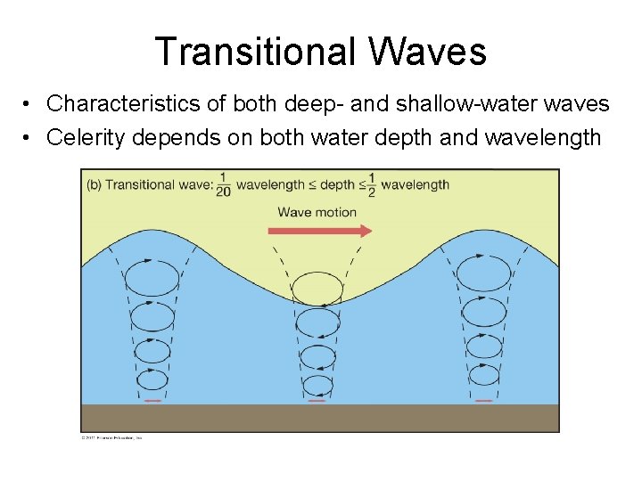 Transitional Waves • Characteristics of both deep- and shallow-water waves • Celerity depends on