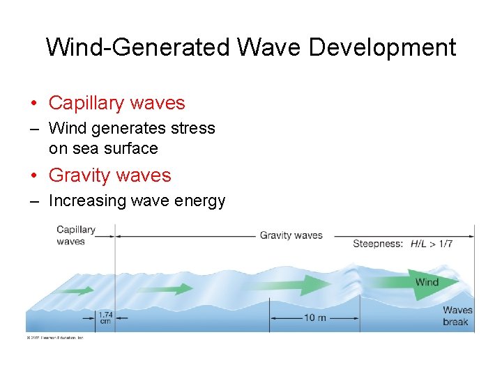 Wind-Generated Wave Development • Capillary waves – Wind generates stress on sea surface •