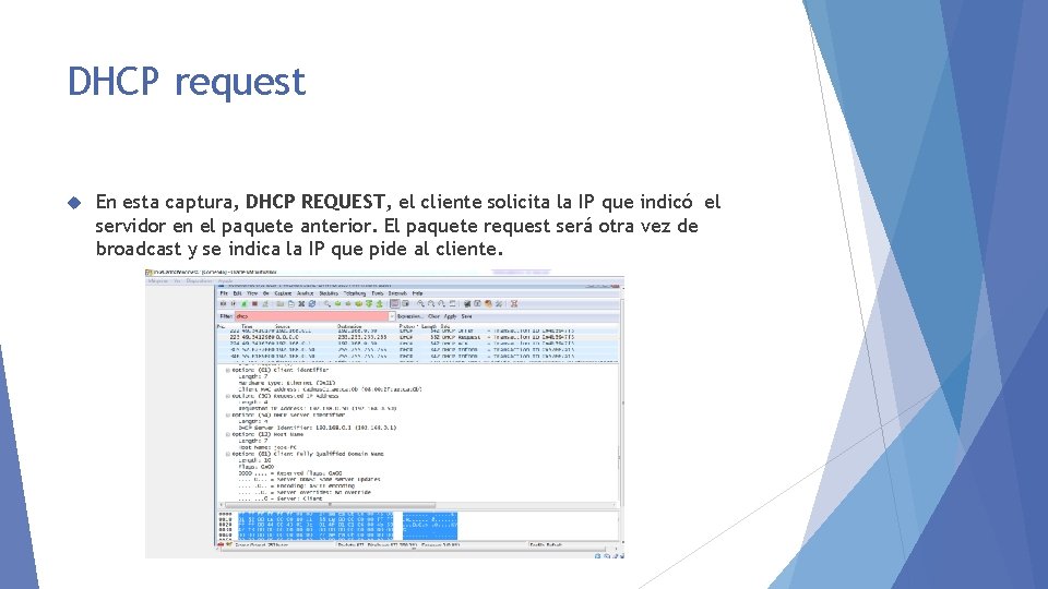 DHCP request En esta captura, DHCP REQUEST, el cliente solicita la IP que indicó
