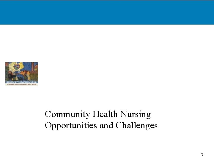 Community Health Nursing Opportunities and Challenges 3 