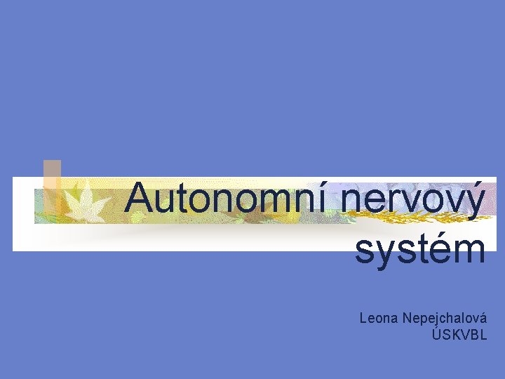 Autonomní nervový systém Leona Nepejchalová ÚSKVBL 