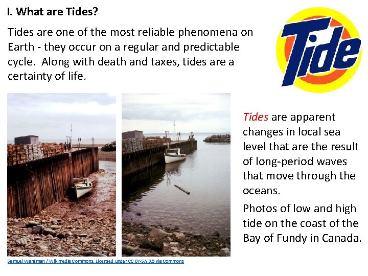 I. What are Tides? Tides are one of the most reliable phenomena on Earth