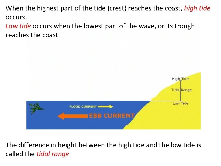 When the highest part of the tide (crest) reaches the coast, high tide occurs.