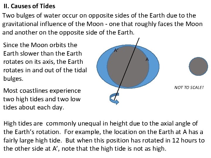 II. Causes of Tides Two bulges of water occur on opposite sides of the