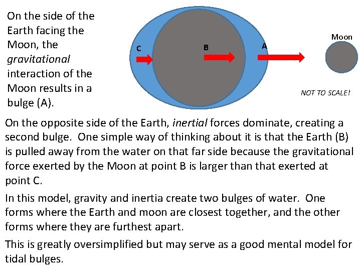 On the side of the Earth facing the Moon, the gravitational interaction of the