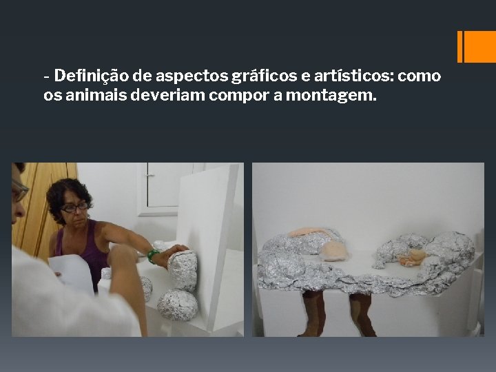 - Definição de aspectos gráficos e artísticos: como os animais deveriam compor a montagem. - Definição de aspectos gráficos e artísticos: como os animais deveriam compor a montagem.