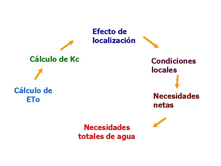 Efecto de localización Cálculo de Kc Cálculo de ETo Condiciones locales Necesidades netas Necesidades