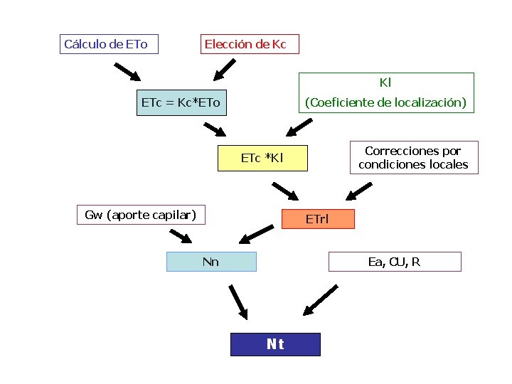 Cálculo de ETo Elección de Kc Kl (Coeficiente de localización) ETc = Kc*ETo Correcciones