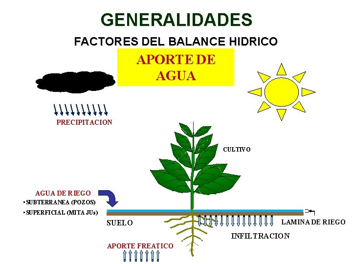 GENERALIDADES FACTORES DEL BALANCE HIDRICO APORTE DE AGUA PRECIPITACION CULTIVO AGUA DE RIEGO •