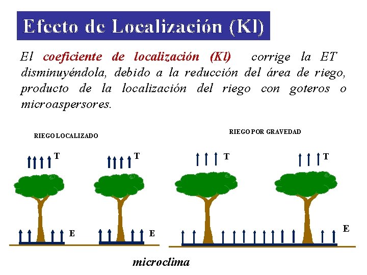 Efecto de Localización (Kl) El coeficiente de localización (Kl) corrige la ET disminuyéndola, debido