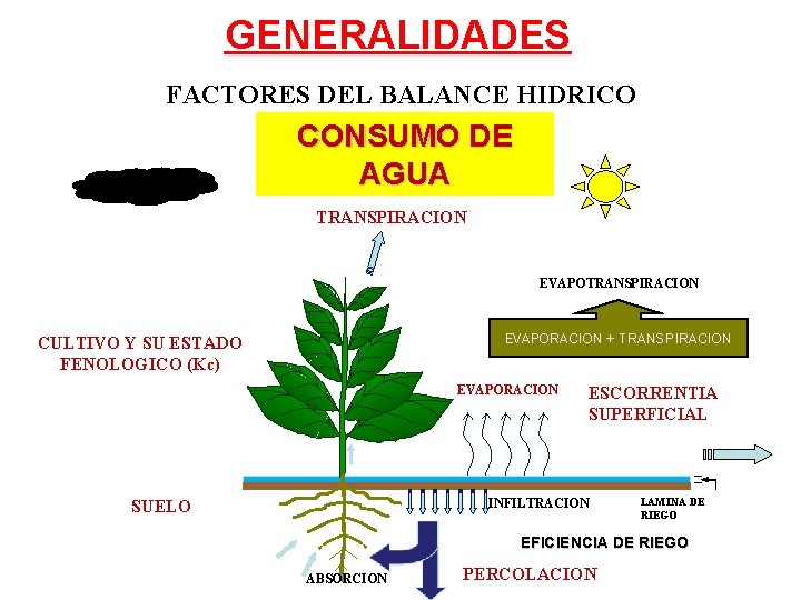 GENERALIDADES FACTORES DEL BALANCE HIDRICO CONSUMO DE AGUA TRANSPIRACION EVAPORACION + TRANSPIRACION CULTIVO Y