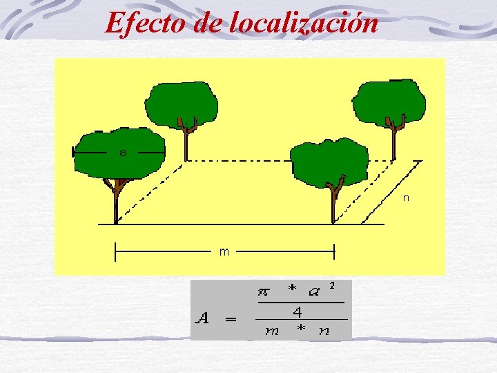 Efecto de localización 