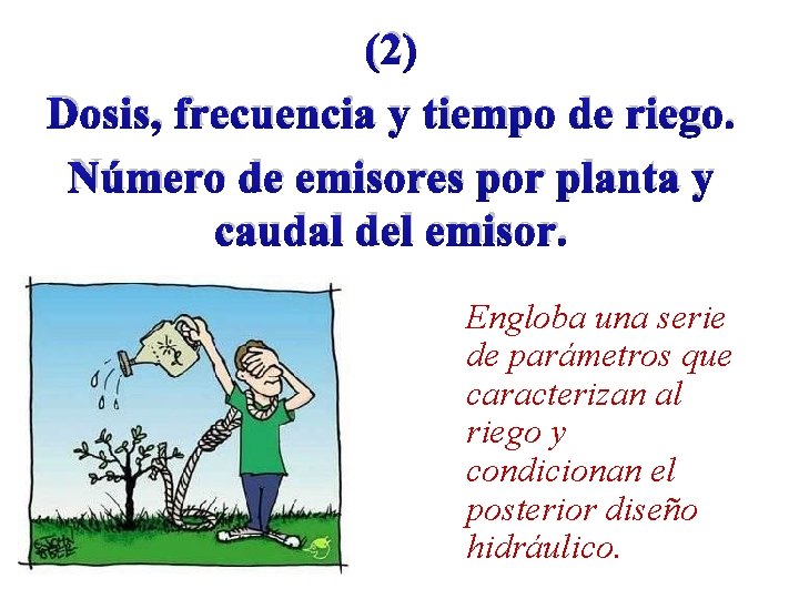 (2) Dosis, frecuencia y tiempo de riego. Número de emisores por planta y caudal