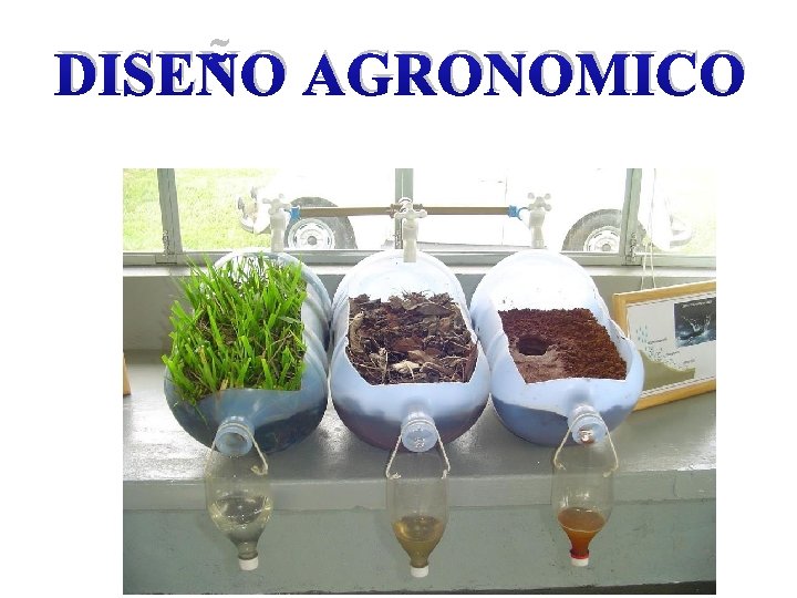 DISEÑO AGRONOMICO 