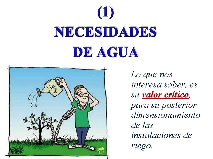 (1) NECESIDADES DE AGUA Lo que nos interesa saber, es su valor crítico, crítico