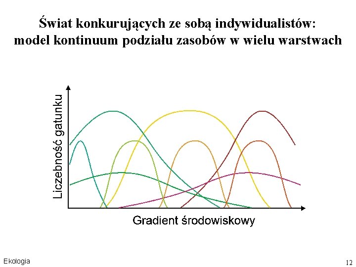 Świat konkurujących ze sobą indywidualistów: model kontinuum podziału zasobów w wielu warstwach Ekologia 12