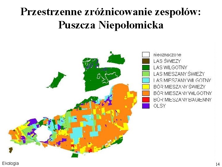 Przestrzenne zróżnicowanie zespołów: Puszcza Niepołomicka Ekologia 14 