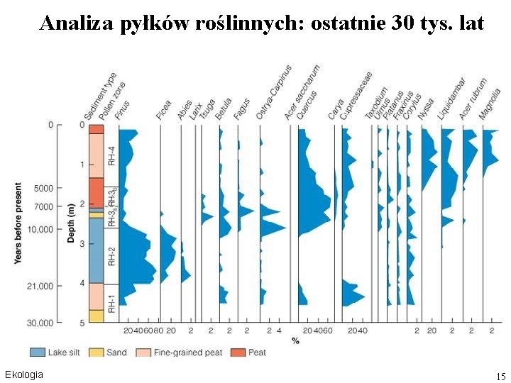 Analiza pyłków roślinnych: ostatnie 30 tys. lat Ekologia 15 