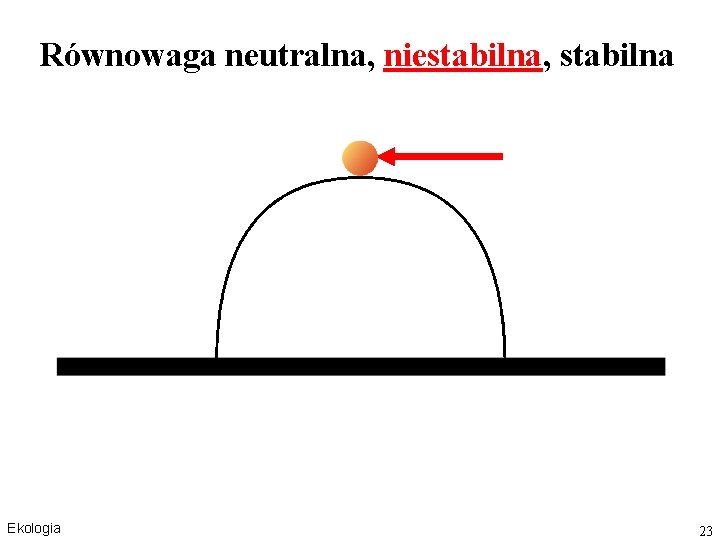 Równowaga neutralna, niestabilna, stabilna Ekologia 23 