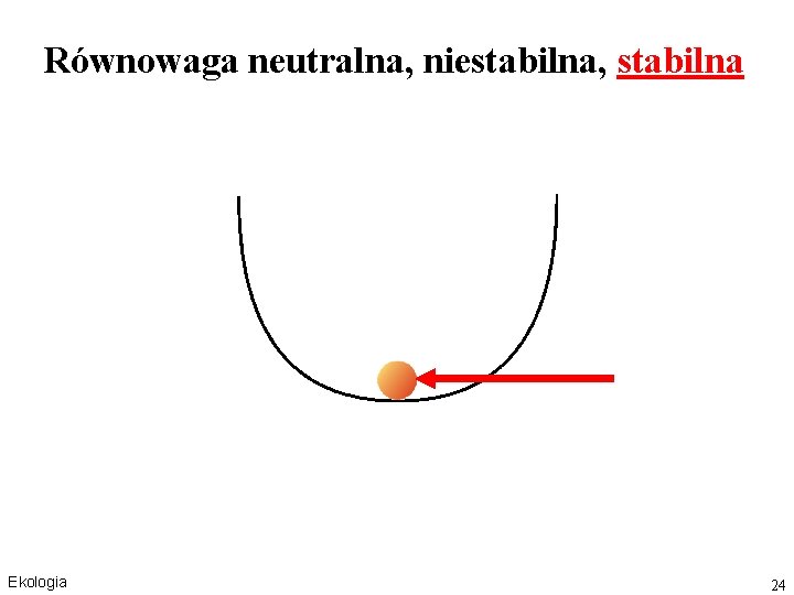 Równowaga neutralna, niestabilna, stabilna Ekologia 24 