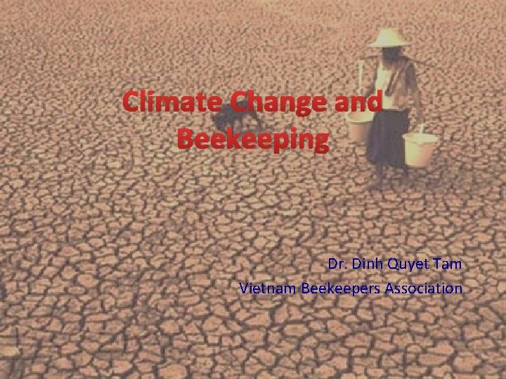 Climate Change and Beekeeping Dr. Dinh Quyet Tam Vietnam Beekeepers Association 