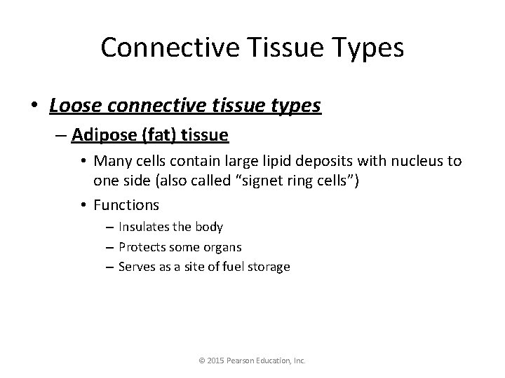 Connective Tissue Types • Loose connective tissue types – Adipose (fat) tissue • Many