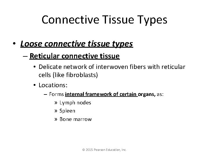 Connective Tissue Types • Loose connective tissue types – Reticular connective tissue • Delicate