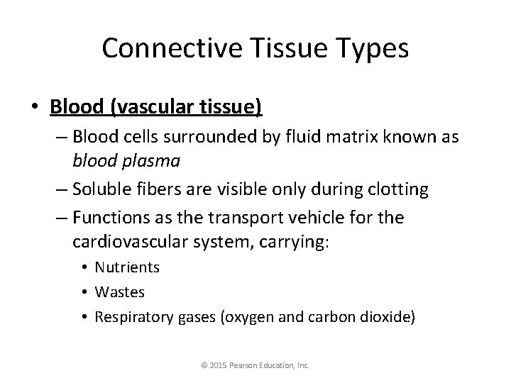 Connective Tissue Types • Blood (vascular tissue) – Blood cells surrounded by fluid matrix