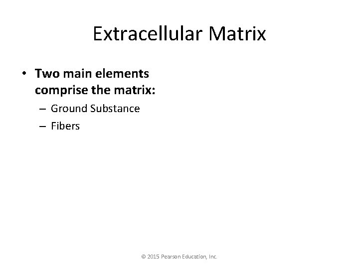 Extracellular Matrix • Two main elements comprise the matrix: – Ground Substance – Fibers