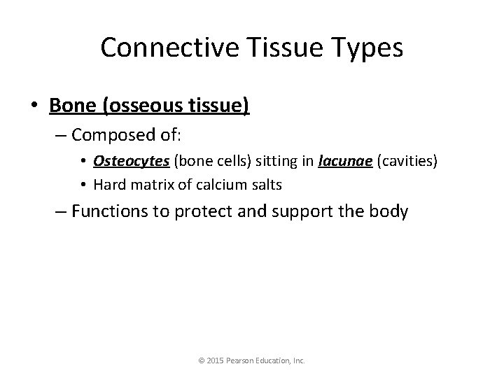 Connective Tissue Types • Bone (osseous tissue) – Composed of: • Osteocytes (bone cells)