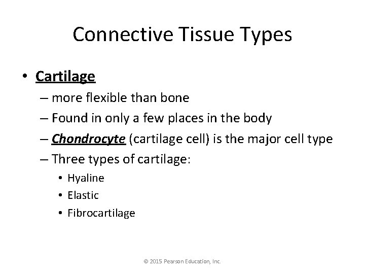 Connective Tissue Types • Cartilage – more flexible than bone – Found in only