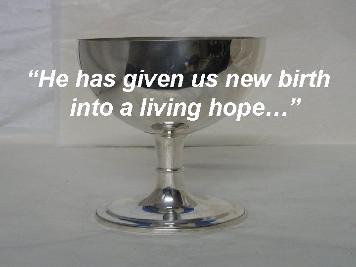 “He has given us new birth into a living hope…” 