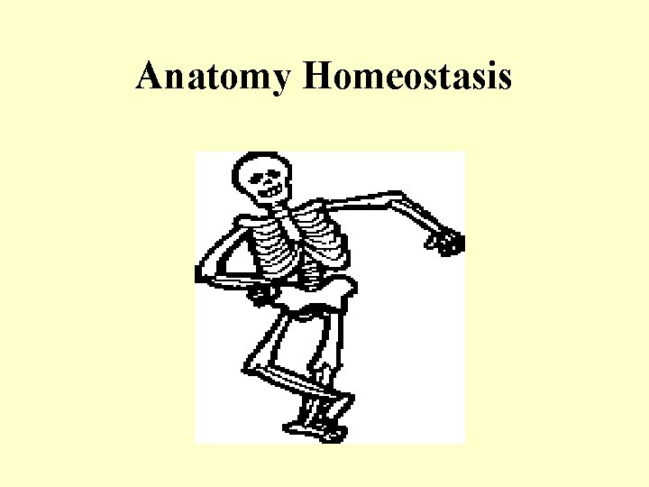 Anatomy Homeostasis 