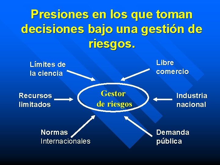 Presiones en los que toman decisiones bajo una gestión de riesgos. Libre comercio Límites